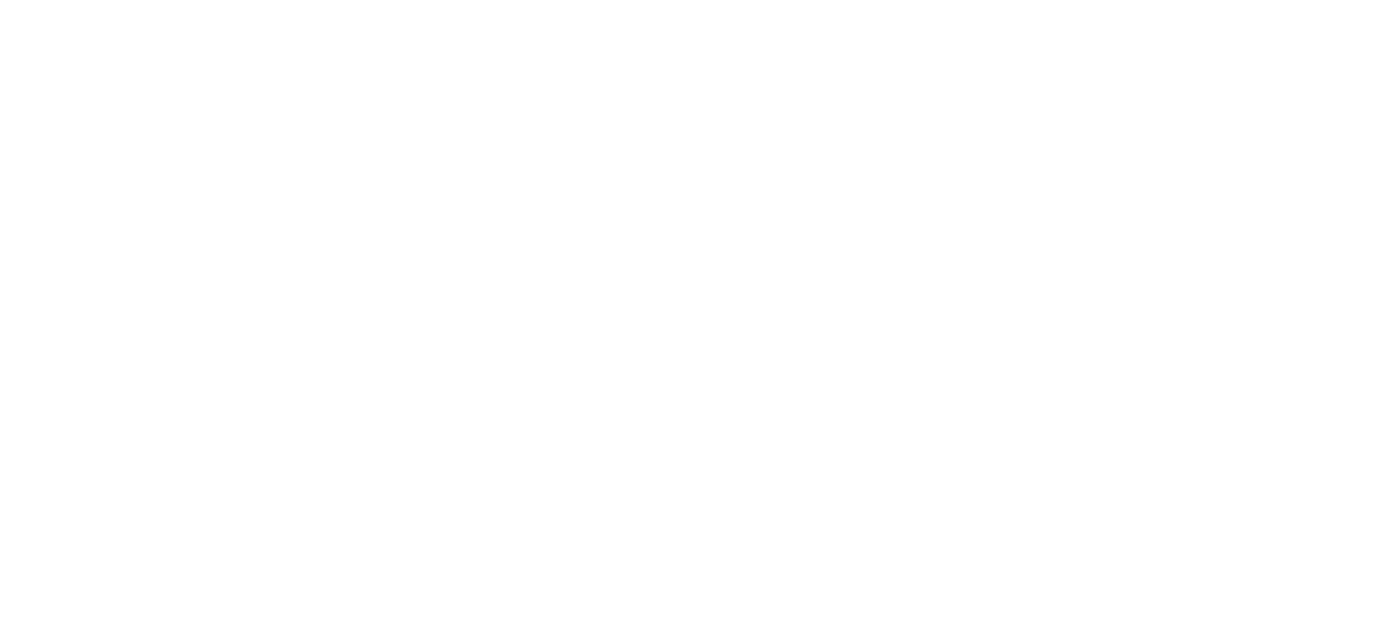 Evyd Logo